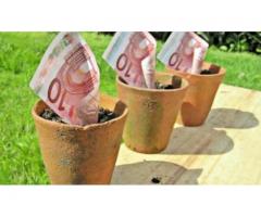 Prestiti finanziari ai privati. 