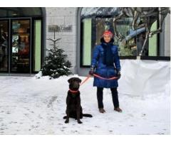  Offerta di prestiti tra privati (basile.doriante@libero.it)