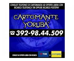 ★★★★★Consulto di Cartomanzia a offerta libera★★★★★