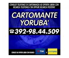 (¯`·._(¯`·._(Cartomante Yoruba')_.·´¯)_.·´¯)