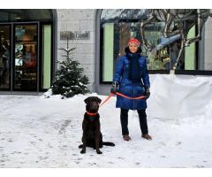 Prova del mio prestito accordato (basile.doriante@libero.it)